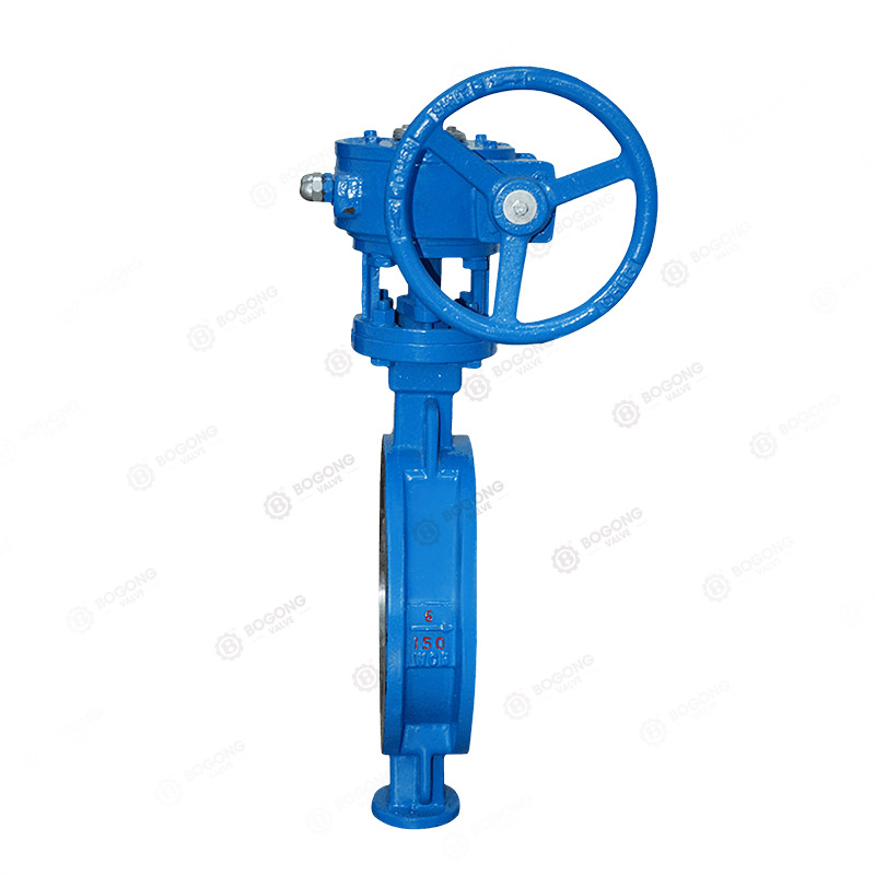 Worm gear to clamp butterfly valve