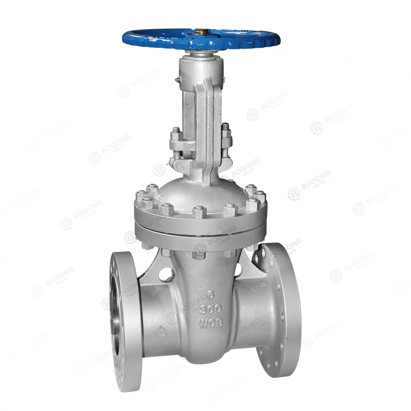 ANSI gate valve