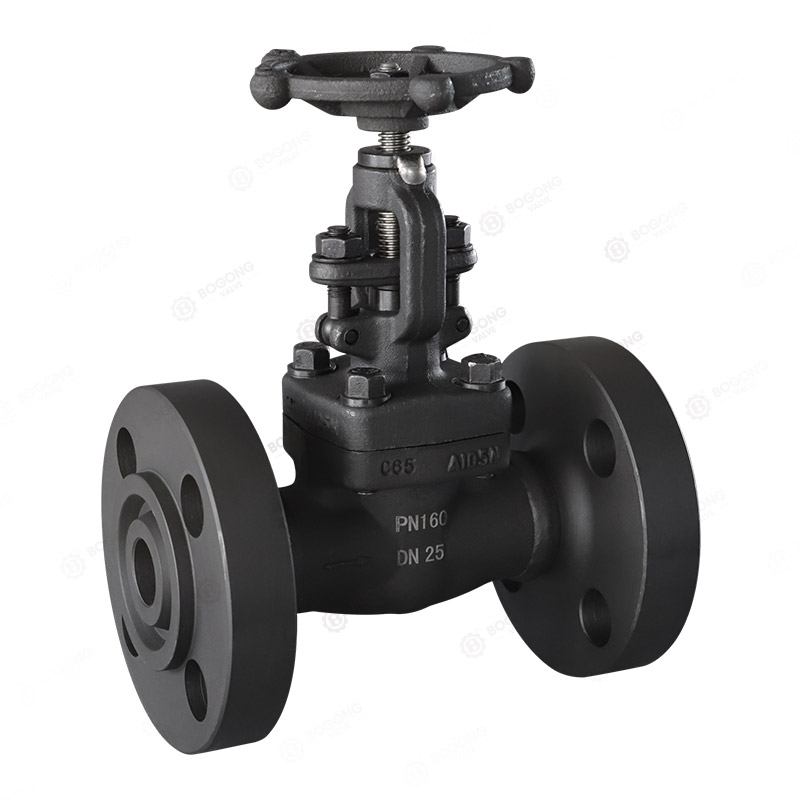 Forged steel globe valve