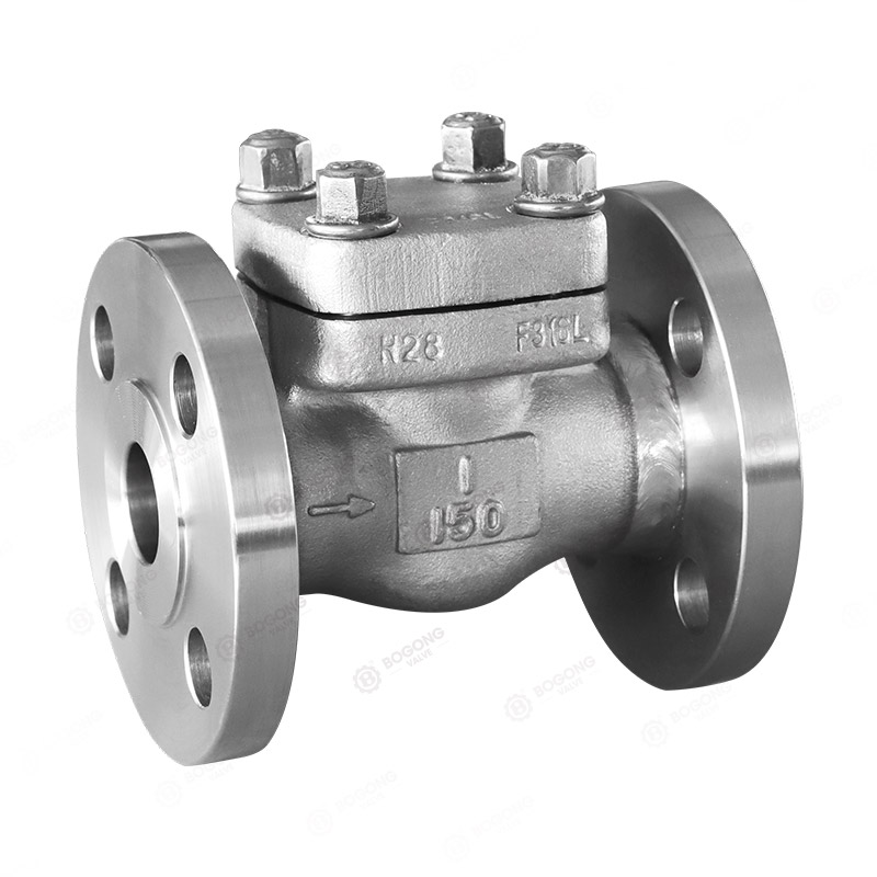 Forged steel flange check valve