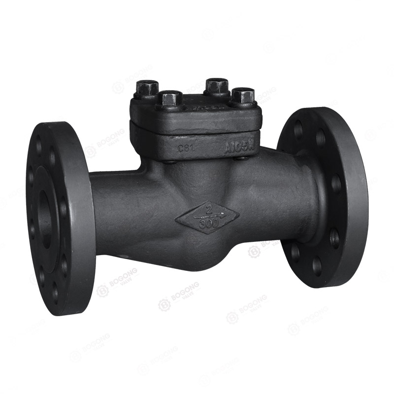 Forged steel check valve