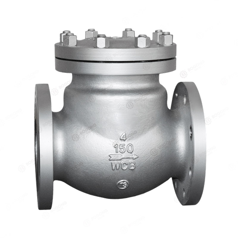 ANSI check valve